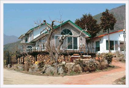 Holistic Healing Class and Farm-Stay  Made in Korea